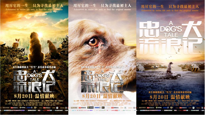 《忠犬流浪记》今日上映 四大看点打造中国版忠犬八公(3)(1)(1)166.jpg