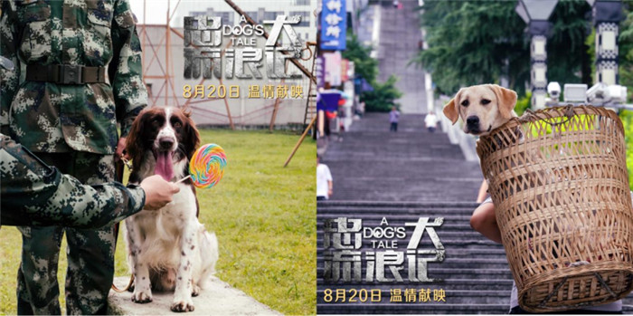 《忠犬流浪记》今日上映 四大看点打造中国版忠犬八公(3)(1)(1)1171.jpg