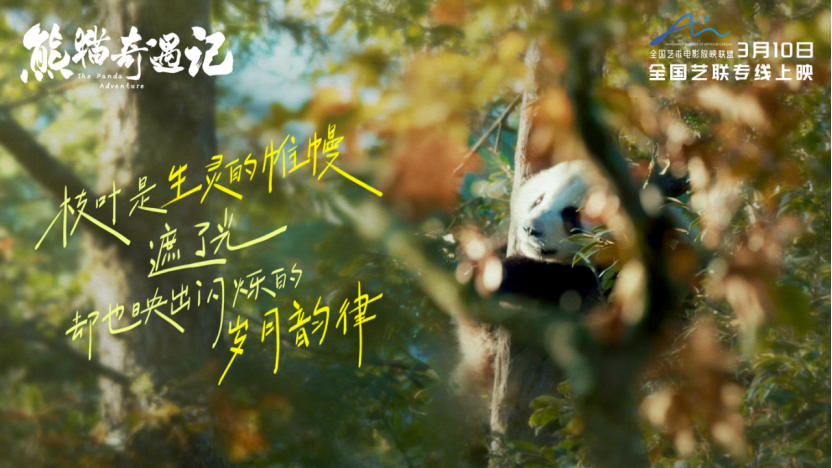 《熊猫奇遇记》大电影定档稿件710.png