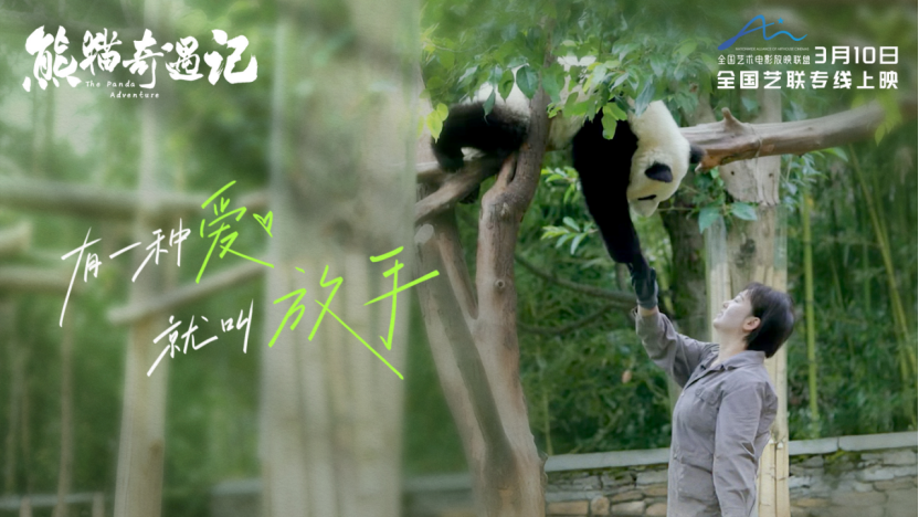 《熊猫奇遇记》大电影定档稿件863.png