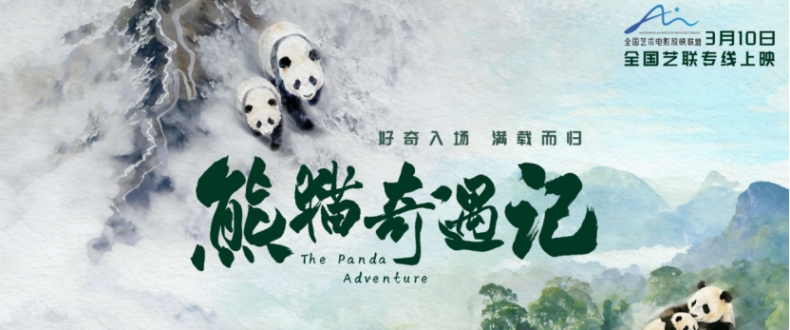 纪实电影《熊猫奇遇记》暖心定档，3月10日解锁国宝全生命周期密码